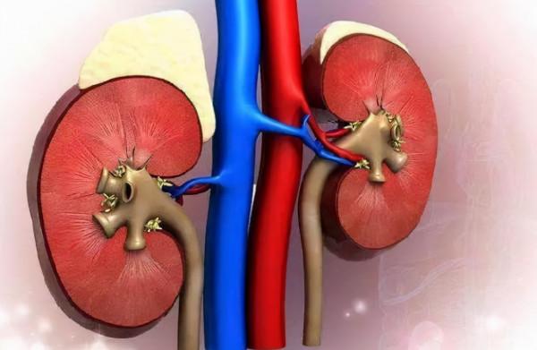 33歲男子患尿毒症，靠透析活命：後悔年輕時太無知，不懂節制