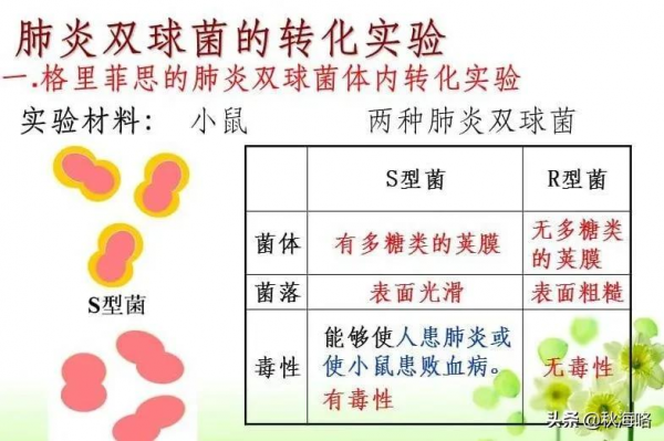 我們一起來了解，DNA的發現