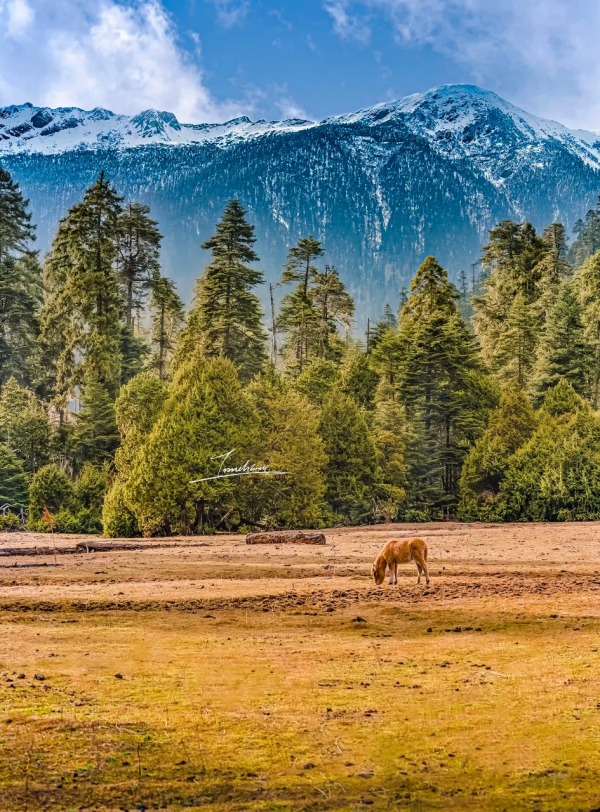 ​中國這7個“很特別”的地方,美如仙境,卻禁止外國人隨意進入 ​中國這7個“很特別”的地方,美如仙境,卻禁止外國人隨意進入