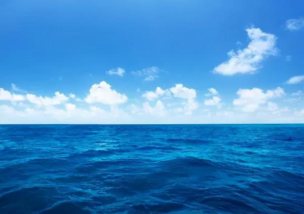 廣闊的日本海，除了海水還有什麼？