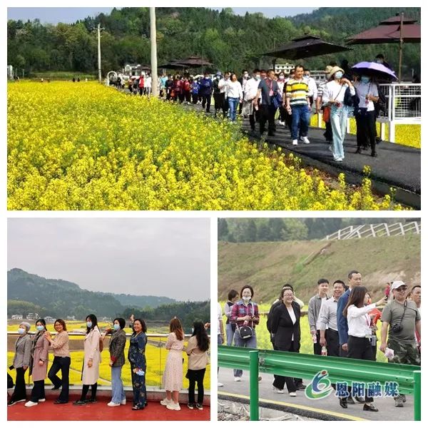 「圖集」直擊恩陽首屆油菜花節現場
