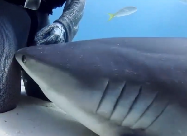 真實故事:印度58歲大爺被雷劈,全身都可發電,甚至可以烤熟雞腿 真實故事:印度58歲大爺被雷劈,全身都可發電,甚至可以烤熟雞腿