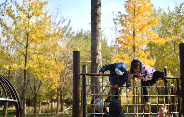 彩葉和笑容同輝！看娃娃們如何抓住“秋天的尾巴”