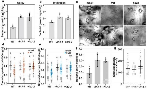 最新！北京985女教授取得重大科研進展，團隊成果引發國際關注！