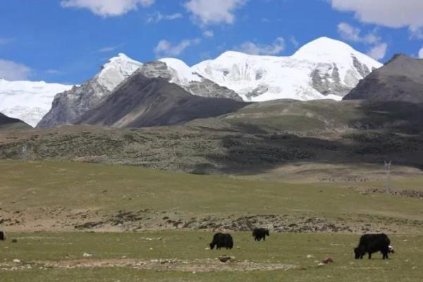 分享圖片：唐古拉山