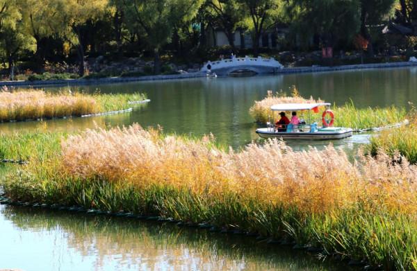 北京玉淵潭公園:深秋美景醉煞人 #秋日好時光##小生活,大財富# 北京玉淵潭公園:深秋美景醉煞人 #秋日好時光##小生活,大財富#