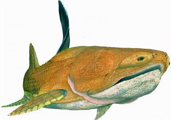 硬核科普:為什麼只有人類進化出高度發達的大腦? 硬核科普:為什麼只有人類進化出高度發達的大腦?