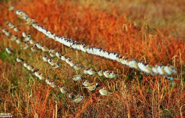 《國家地理》每個地方都是一幅畫，你最想去什麼地方？