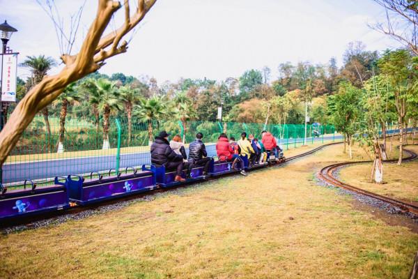 古藺城市新名片——酒街