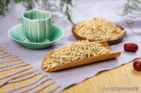 結石?送你三味中藥,清熱利溼,散結消石,不來了解下嗎? 結石?送你三味中藥,清熱利溼,散結消石,不來了解下嗎?