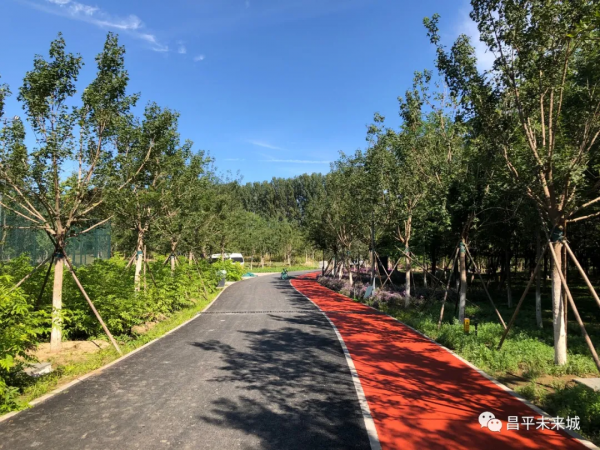 首次曝光！溫榆河公園昌平一期探秘，實在太美了
