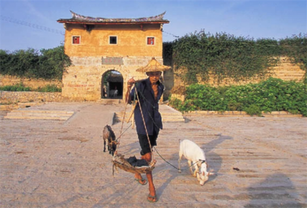 老農在自家菜園發現古石碑，考古學家研究後說：敢問祖上何人？