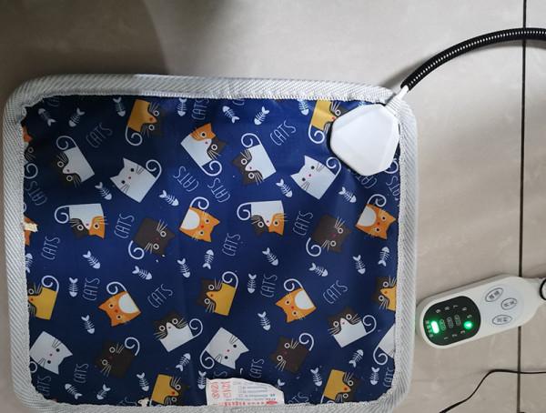 鸚鵡雛鳥保暖6大辦法,這樣做恆溫、節能、省錢還簡單 鸚鵡雛鳥保暖6大辦法,這樣做恆溫、節能、省錢還簡單