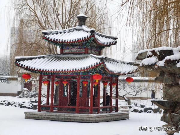 難覽觀園全畫景 雪覆臘梅一隅香&mdash;&mdash;踏雪尋遊北京大觀園