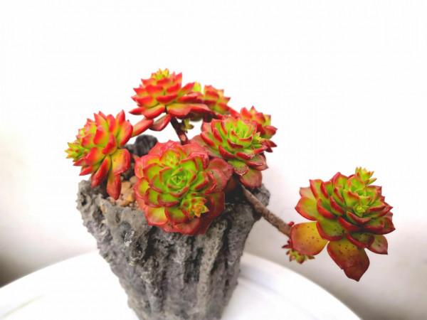 不捨，也是一種貪&hellip;&hellip;