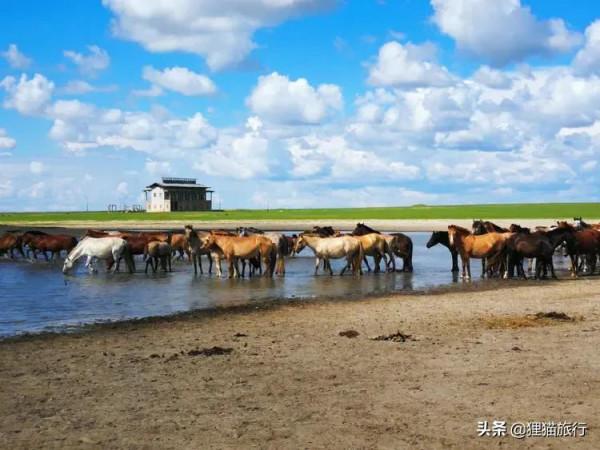蒙古國最東端是東方省,首府喬巴山市是第四大城市,離滿洲里不遠 蒙古國最東端是東方省,首府喬巴山市是第四大城市,離滿洲里不遠