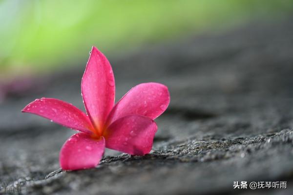 論勤奮努力與荒廢隨性