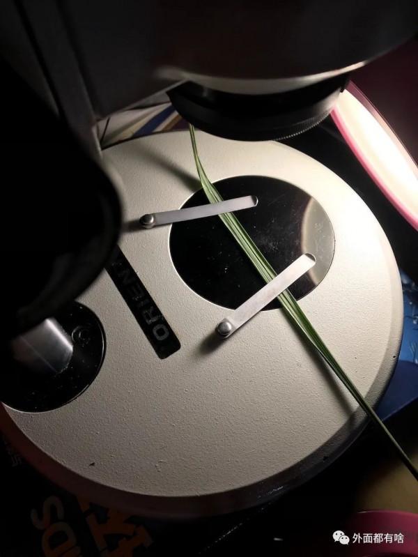 令人驚奇的葉沿——讓孩子學會使用常用工具系列