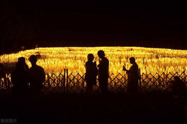 “苦中苦”與“人上人”，是我們很難快樂的根源