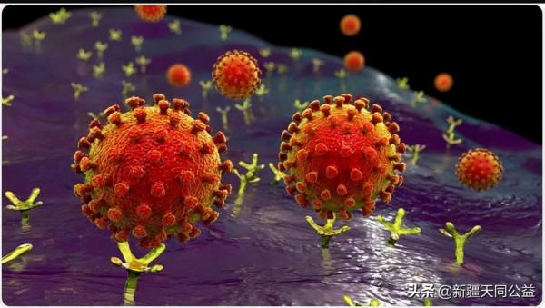 HIV：確定的新治療靶點