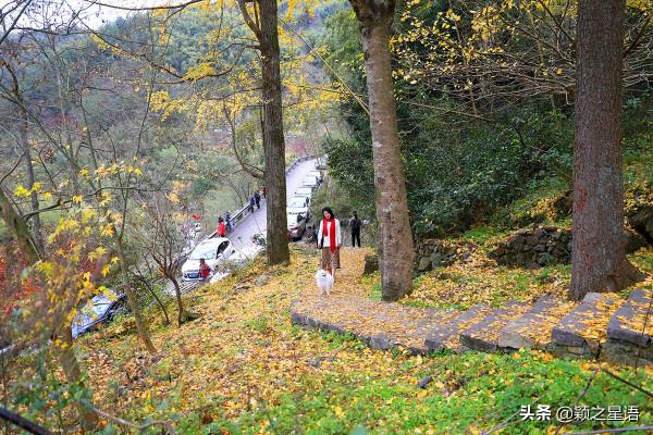 寧波有個古村,媲美篁嶺秋色,去過25次,你去過嗎 寧波有個古村,媲美篁嶺秋色,去過25次,你去過嗎