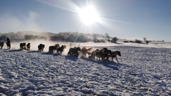 冬奧會倒計時22天！這座曾經比肩北京的老城，“國際張”藏不住了