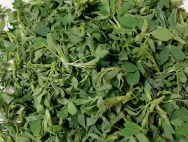 女性怕衰老，多吃4種食物，滋陰補肝，排毒養血，滋養女性子宮