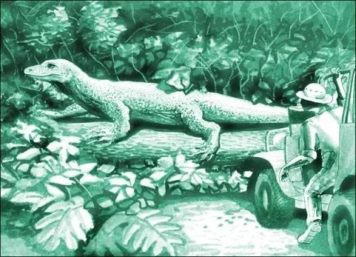 澳洲魔龍——古巨蜥