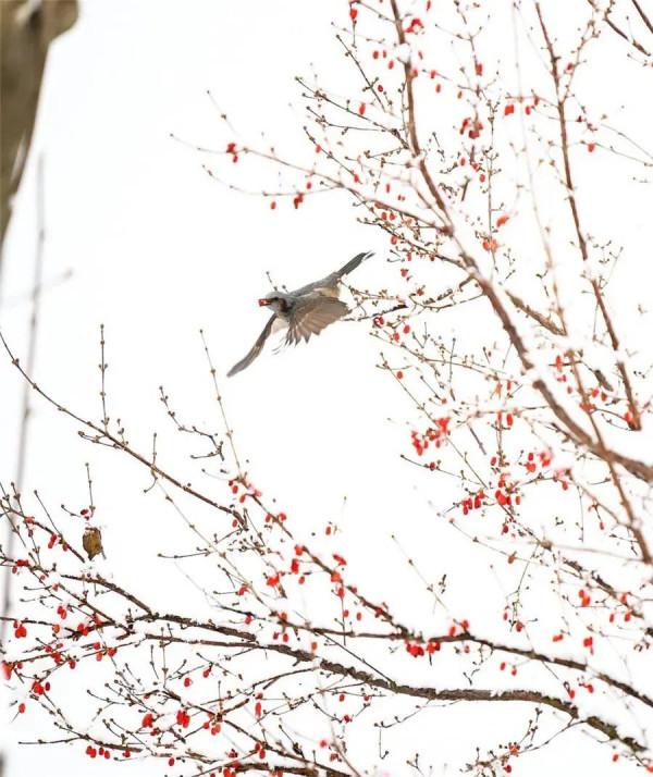 曾仕強：明哲保身是最高明的處世方式
