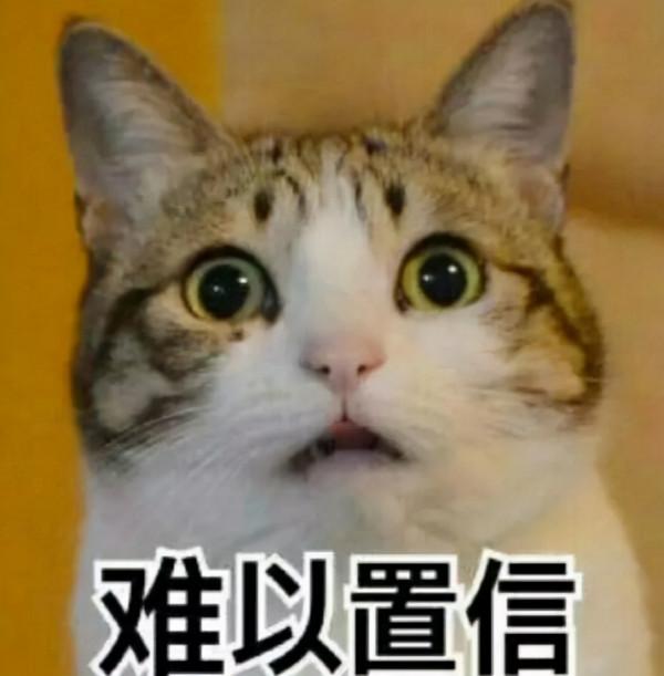 停課不停學，線下教學調整為線上學習，學生只是換個地方學習而已