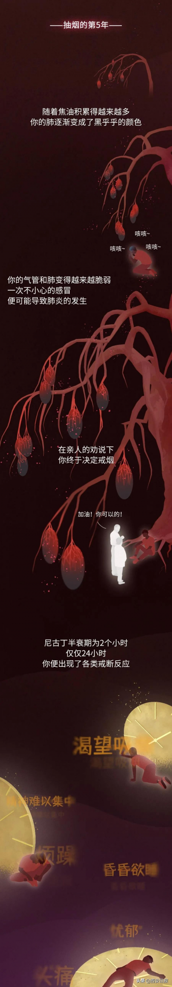 抽菸30年，你的肺都經歷了什麼