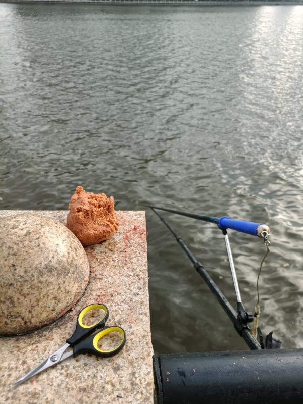 「雙11」半下午,一家人,一份餌,三條魚,盡享親子垂釣之樂… 「雙11」半下午,一家人,一份餌,三條魚,盡享親子垂釣之樂…