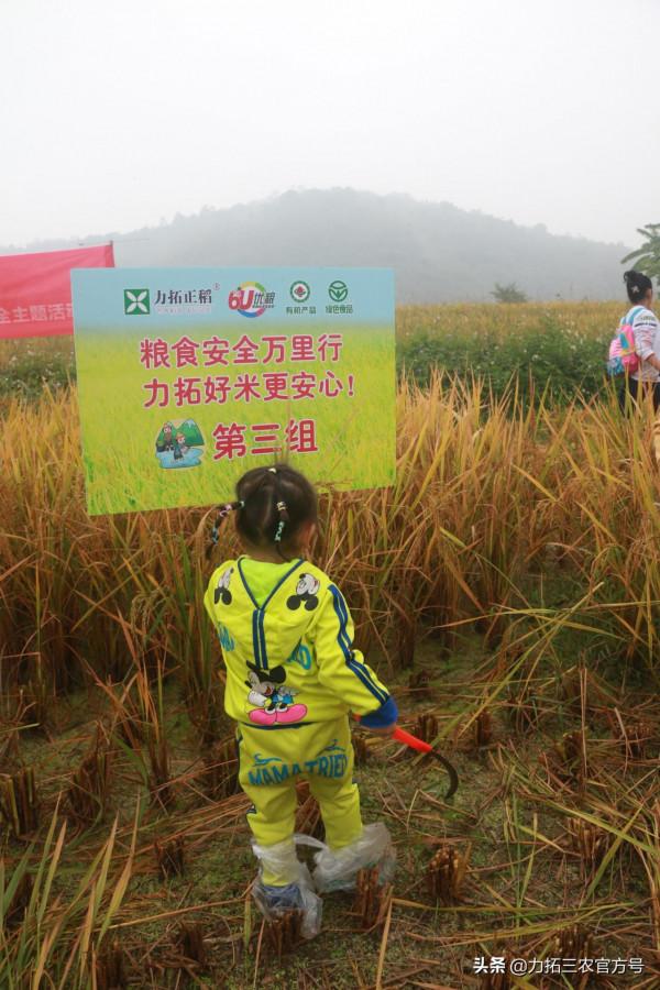 “糧食安全萬里行 力拓好米更安心”——2021糧食安全主題活動舉行