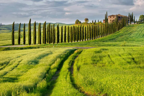 在托斯卡納豔陽下 神遊Toscana托斯卡納必去的美麗仙蹤