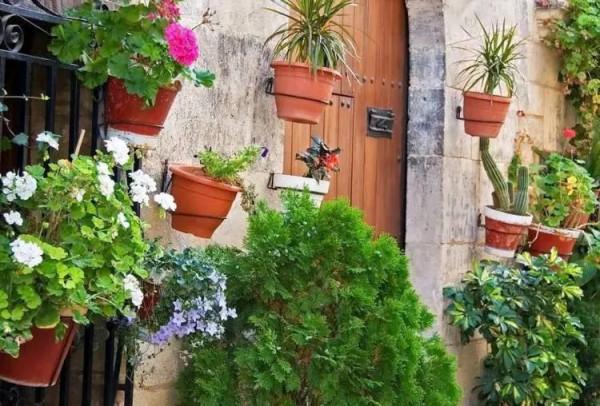 門口適合放這幾個盆栽,出入好心情 門口適合放這幾個盆栽,出入好心情