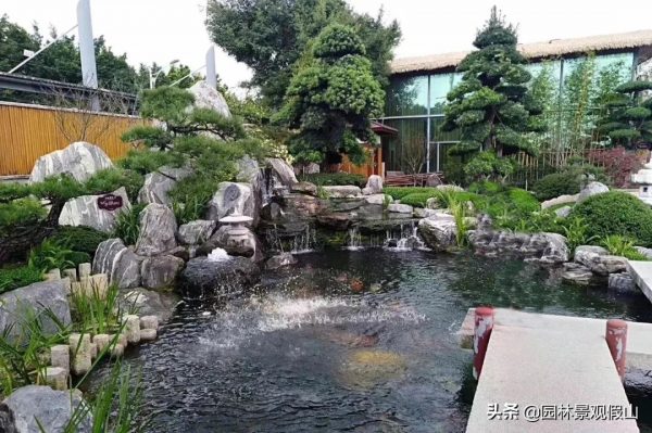 庭院魚池就要這6步，拒絕走彎路少花冤枉錢