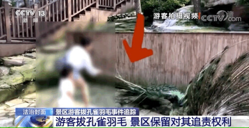 不止煞風景,這些旅遊中的不文明行為或涉嫌違法 不止煞風景,這些旅遊中的不文明行為或涉嫌違法