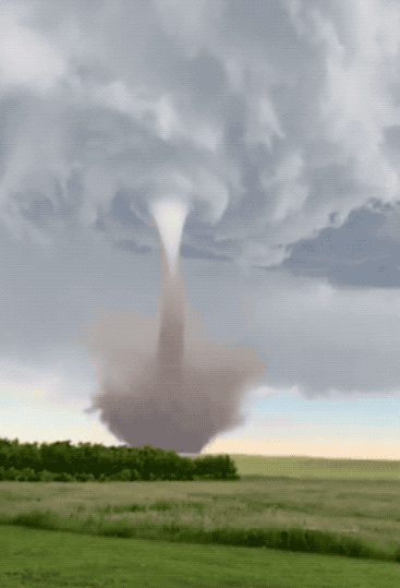 20張活久未見的照片,一隻公雞PK7只火雞,這氣場太霸氣了 20張活久未見的照片,一隻公雞PK7只火雞,這氣場太霸氣了