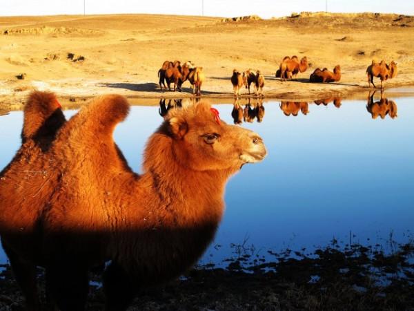 一個不敢挖，一個挖不開，一個挖不到，扒扒三座傳奇的皇陵