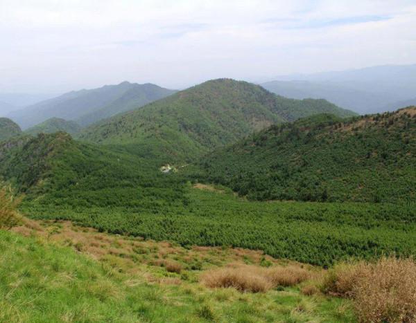 這條又險又美又爛的路線 堪稱陝西“丙察察”