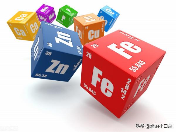 闢謠：吃素食，只吃蔬菜就是健康嗎？營養師：注意5點