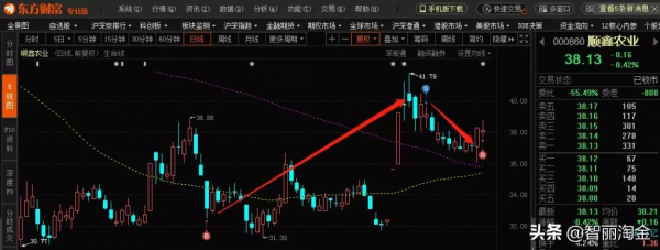 加倉了一隻股，彙報我的最新持倉！（附預判圖）
