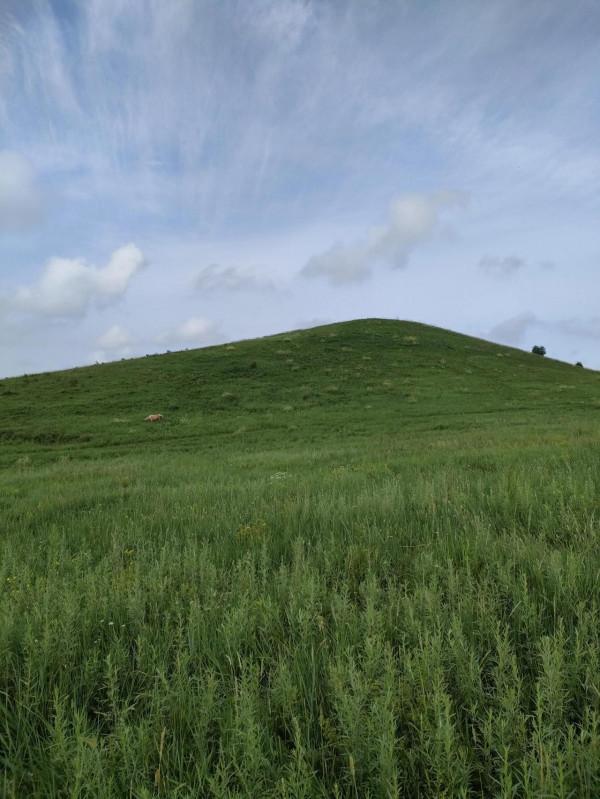 常梳頭固發防脫