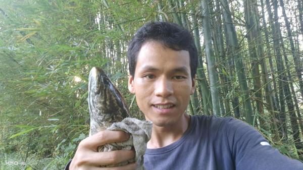 “傷人魚”排名了，釣到解鉤需小心，輕則疼痛幾天，重則截肢