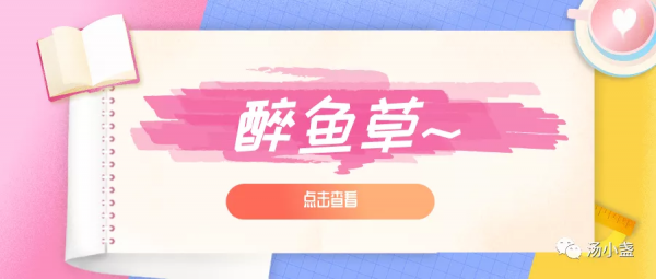 可用來麻醉活魚的醉魚草