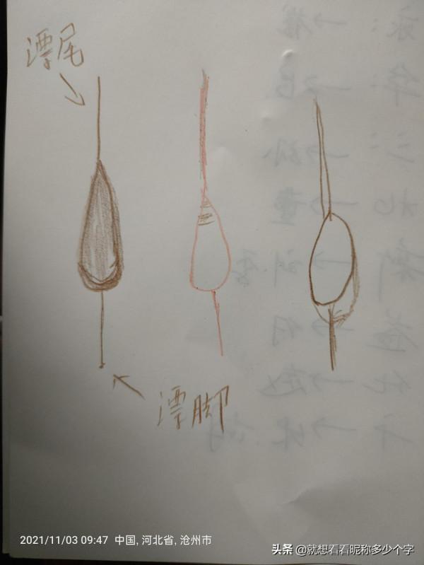 盤點釣魚入坑這些年被收過的智商稅 盤點釣魚入坑這些年被收過的智商稅