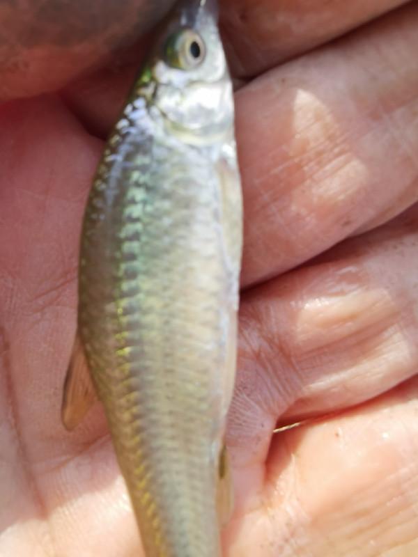 惡劣天氣也阻擋不了釣魚人的腳步，餵魚時刻準備著……