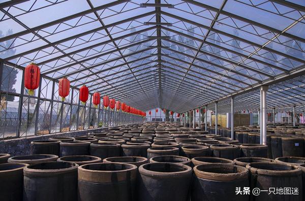 盤點我國“千奇百怪”的博物館，一個比一個有趣兒，你去過幾個？