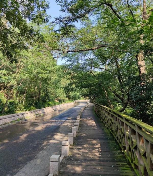 減脂第十一天 減脂第十一天