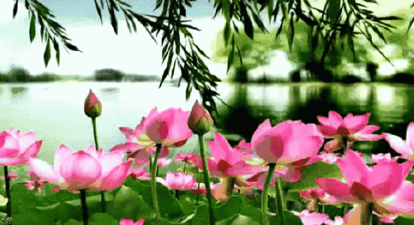 手機高速發展的這十年到底取代了哪些東西？大概統計了下還真不少